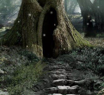 Volare Solus Cover Image